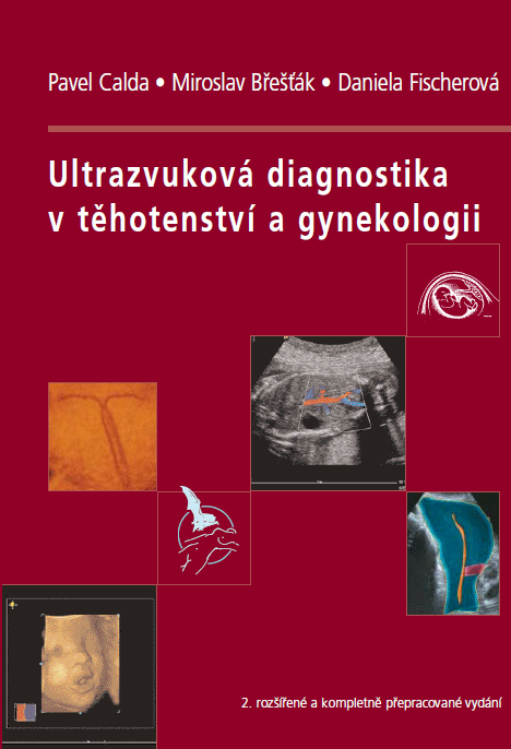 Ultrazvuková diagnostika v těhotenství a gynekologii